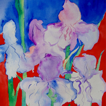 Royal Iris